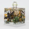 SMALL CUBE BUMBLE BEE OIL LAMP - Image 2