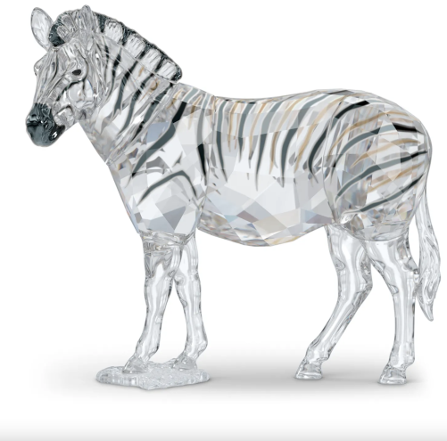 ELEGANCE OF AFRICA SCS ZEBRA AMAI