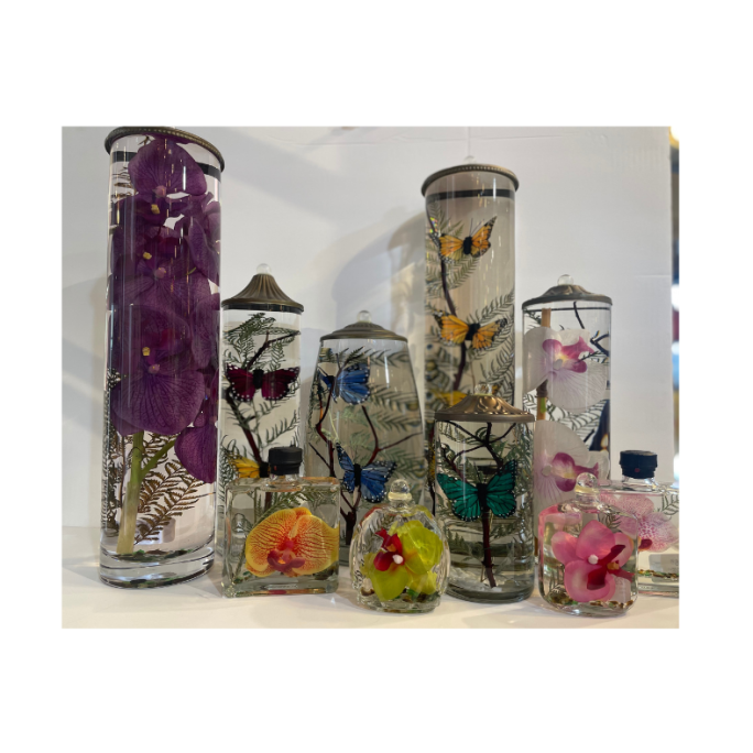 Orchids & Butterfly