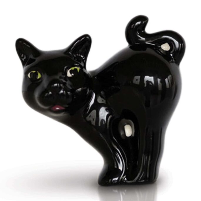 BLACK CAT SCAREDY CAT