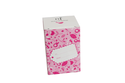 NF MINI GIFT BOX PINK 2024