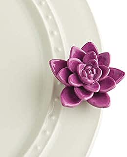 GET GROWING PURPLE SUCCULANT