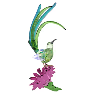 IDYLLIA SUGARBIRD & CACTUS FLOWER