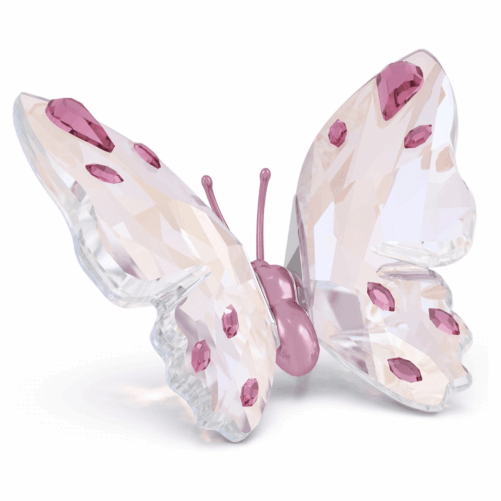 IDYLLIA BUTTERFLY PINK