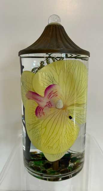 CYL SHORT YELLOW ORCHID