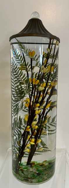 CYL TALL  YELLOW BERRY