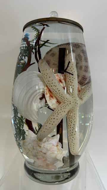 BRANDY BLUSH SEASHELL