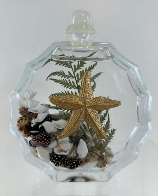 SUNBURST SEASHELL GOLD STAR