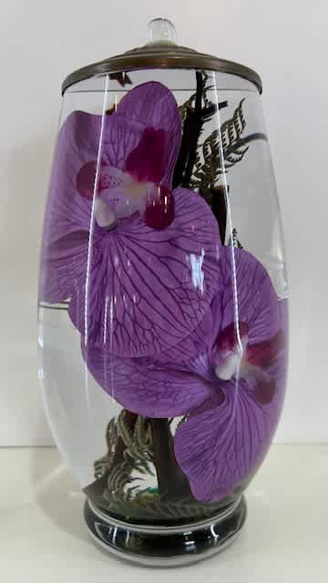 BRANDY PURPLE ORCHID