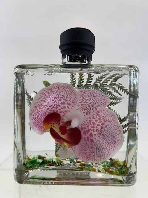ECO PURPLE SPECKLED ORCHID